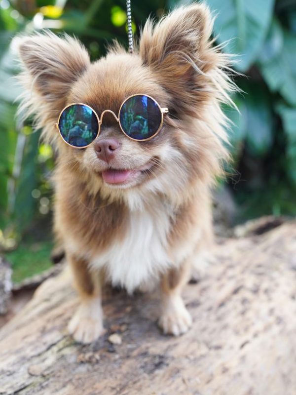 385393938_712832044031235_4094236432763362880_n