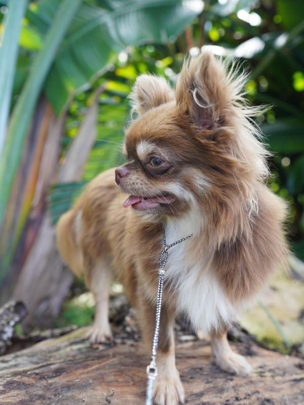 385397294_856358849129896_6635909170330013430_n