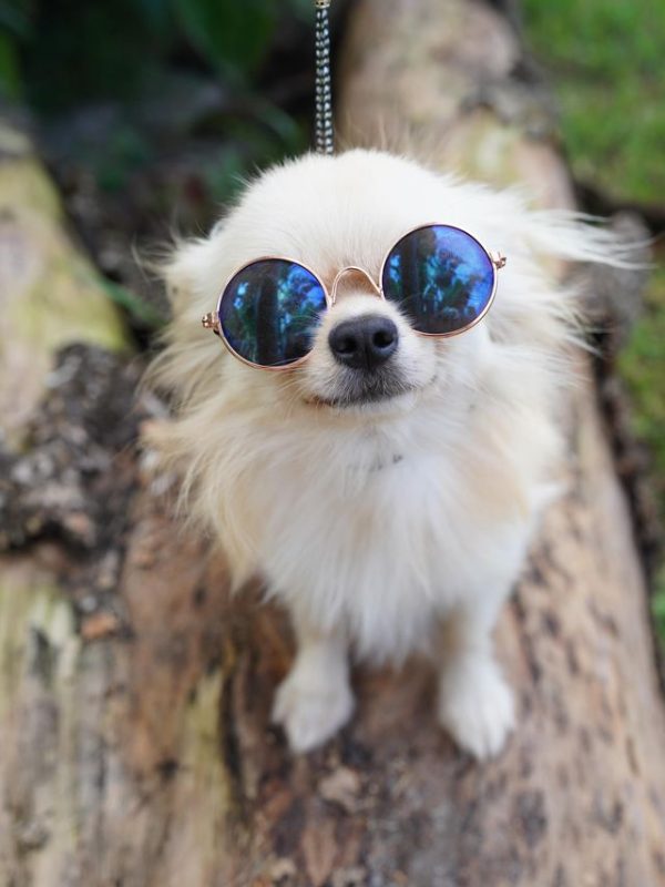 387322105_193223743796506_4190581094431689806_n